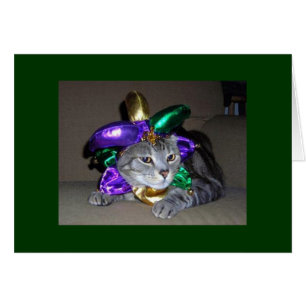 INCLUSO EL GATO ESTÁ CELEBRANDO PARA "USTED" SON "
