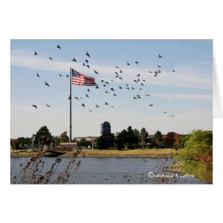 Incluso los patos aman los E.E.U.U.