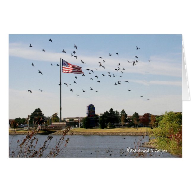 Incluso los patos aman los E.E.U.U. (Anverso (Horizontal))