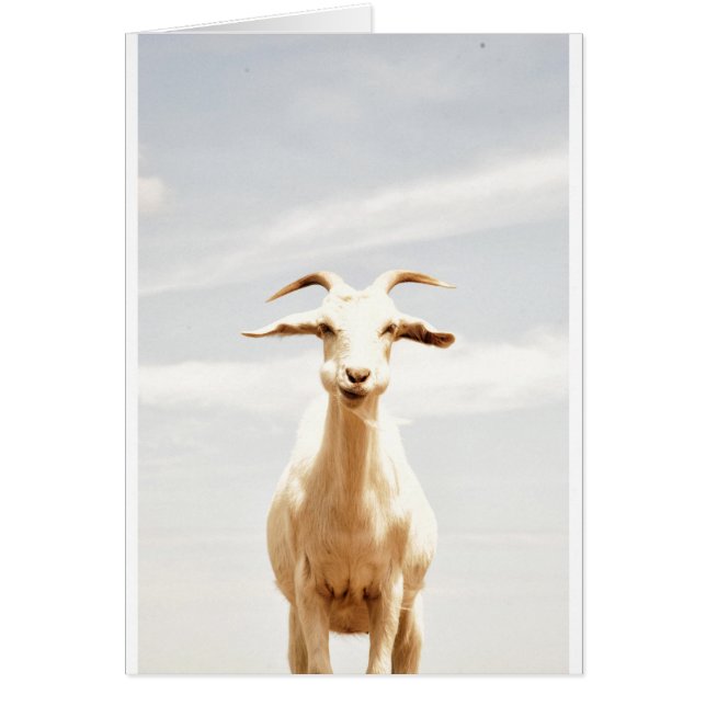 Incómodo uno (Frente)