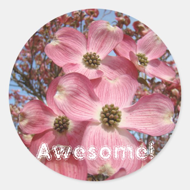 ¡Increíble! pegatinas Flores De Dogwood Rosa Natur (Anverso)