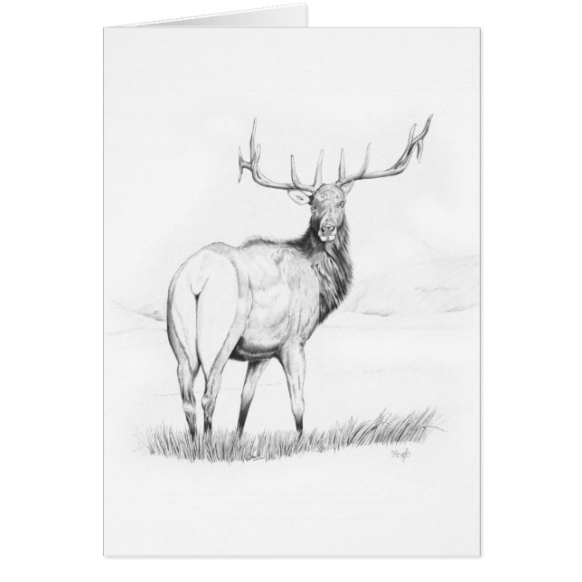 Indecisión (Frente)