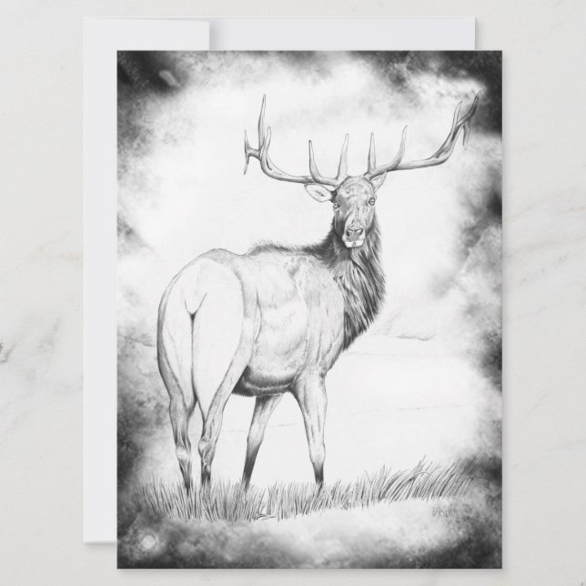 Indecisión con borde (Anverso)