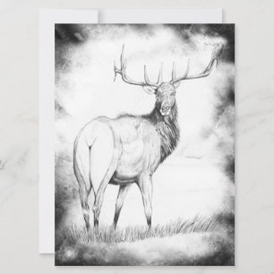 Indecisión con borde