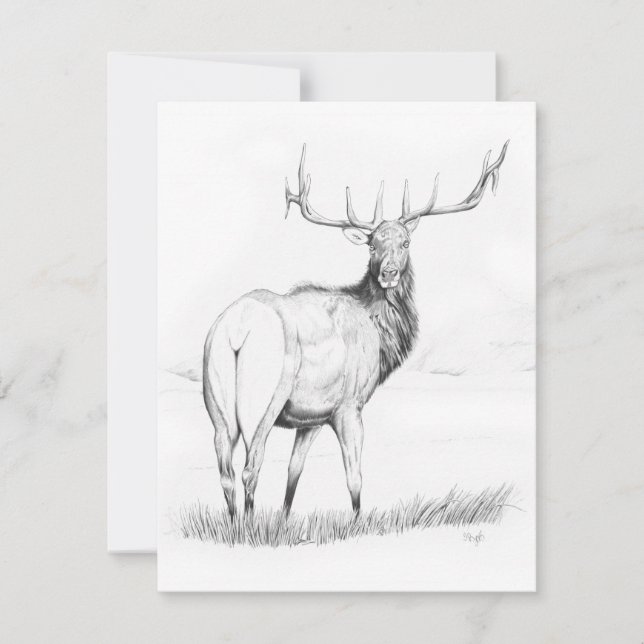 Indecisión - Invitación de 4,25" x 5,5" (Anverso)