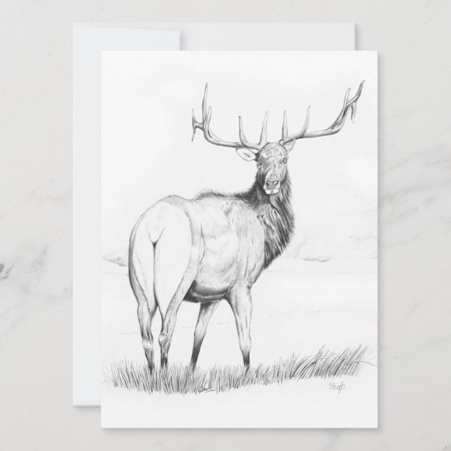 Indecisión - Invitación de 5,5" x 7,5" (Anverso)