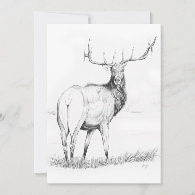 Indecisión - Invitación de 5" x 7" (Anverso)