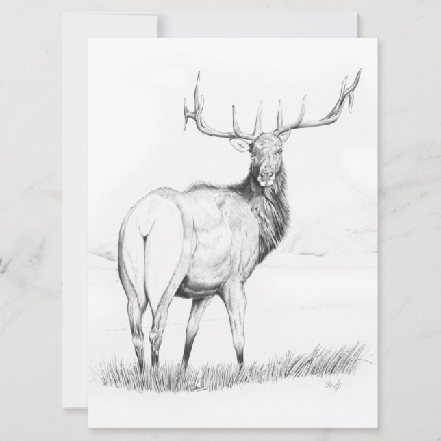 Indecisión - Invitación de 6,5" x 8,75" (Anverso)