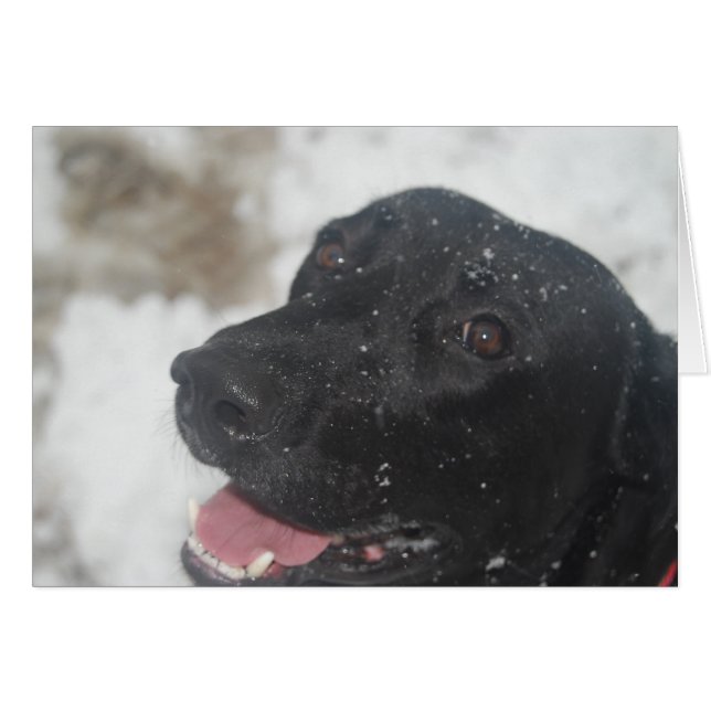 indefinido (Anverso (Horizontal))