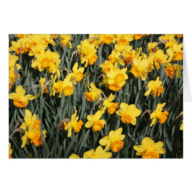 indefinido (Anverso (Horizontal))