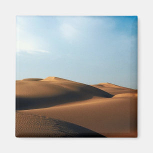 India: El imán del desierto