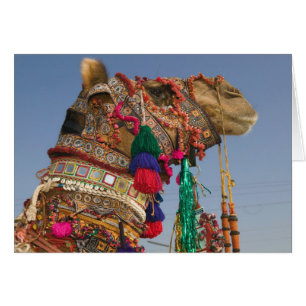 INDIA, Rajasthan, Pushkar: FERIA DE CAMELOS DE PUS