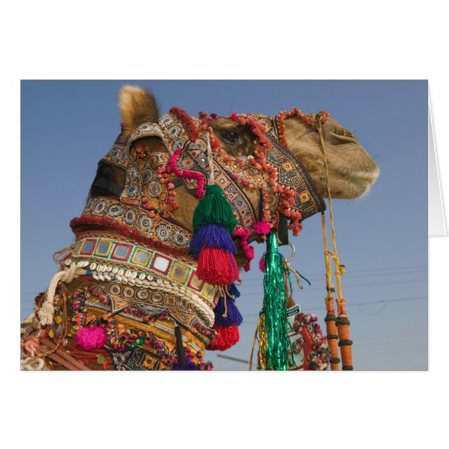 INDIA, Rajasthan, Pushkar: FERIA DE CAMELOS DE PUS (Anverso (Horizontal))