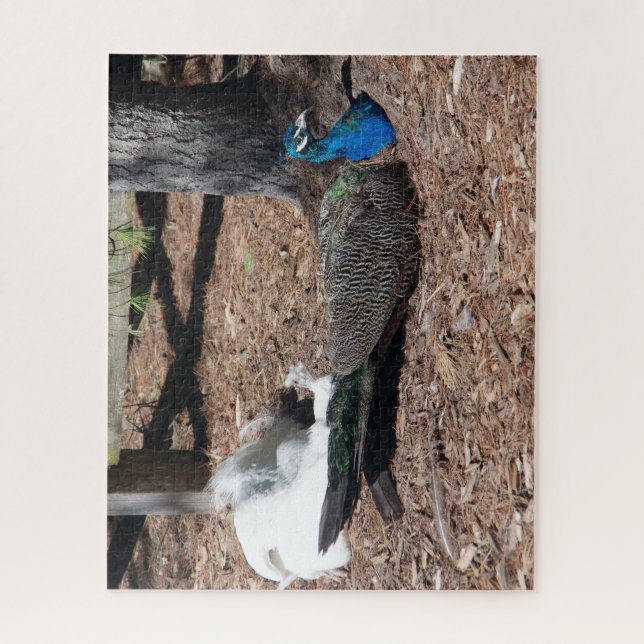 Indian Blue and White Pheasants jigsaw Puzzle (Vertical)
