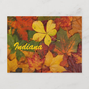 Indiana Autumn deja la postal