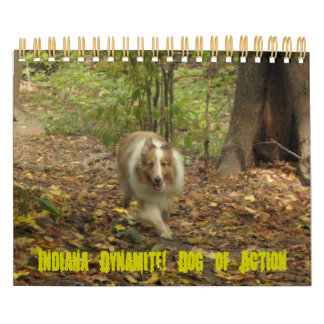 ¡Indiana Dinamita! Calendario de acción de perros