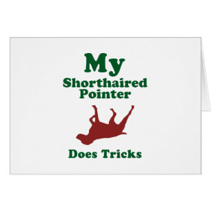 Indicador de pelo corto alemán