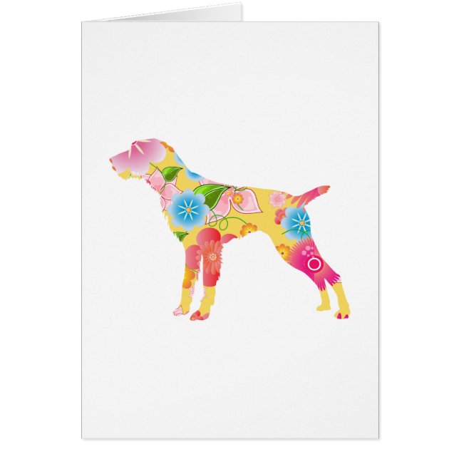 Indicador Wirehaired alemán (Frente)