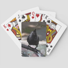 Índice estándar de cartas de juego de pájaros de b