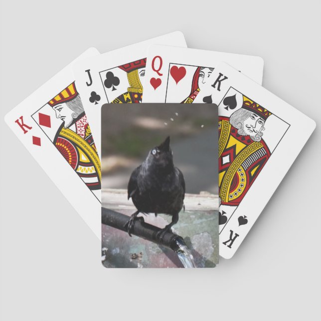 Índice estándar de cartas de juego de pájaros de b (Reverso)