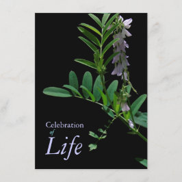 Indigo 1 celebración de la Invitación del funeral