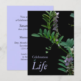 Indigo 2 Celebración de la Invitación del funeral