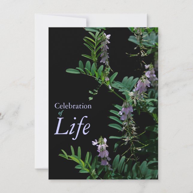 Indigo 3 Celebración de la Invitación del funeral  (Anverso)