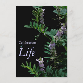 Indigo 3 Celebración de la Invitación del funeral