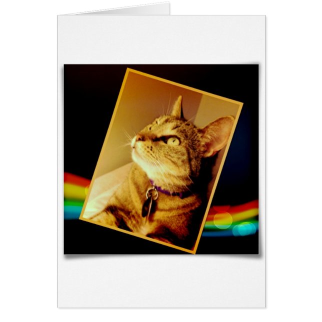 Indigo arcoiris (Frente)