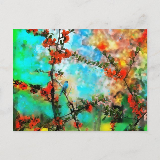 Índigo, postales (Anverso)