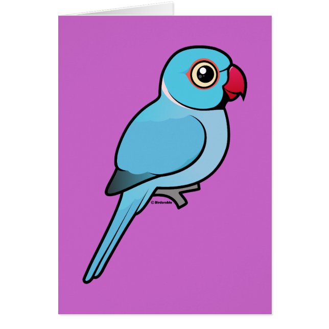 Indio azul Ringneck (Frente)