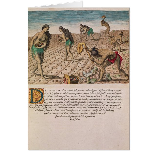 Indios de la Florida que plantan el maíz (Frente)