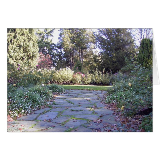 Indirecta del otoño (Anverso (Horizontal))