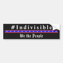 INDIVISIBLE - Nosotros, el pueblo, pegatinas de pa