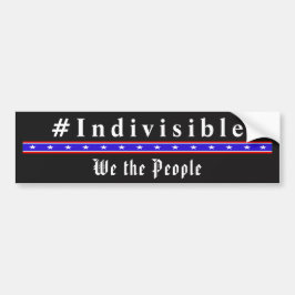 INDIVISIBLE - Nosotros, el pueblo, pegatinas de pa
