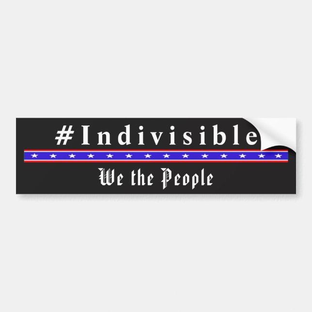 INDIVISIBLE - Nosotros, el pueblo, pegatinas de pa (Frente)