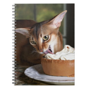 Indulgencia Silenciosa – Cuaderno de Gato Elegante