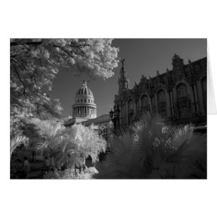 Infrarrojo de la cúpula del edificio del Capitolio