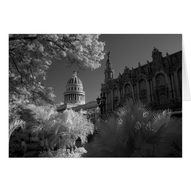 Infrarrojo de la cúpula del edificio del Capitolio (Anverso (Horizontal))