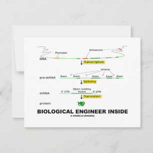 Ingeniero biológico interno