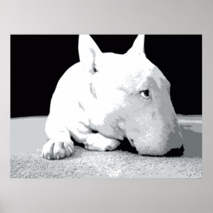 Inglés bull terrier, impresión del arte pop