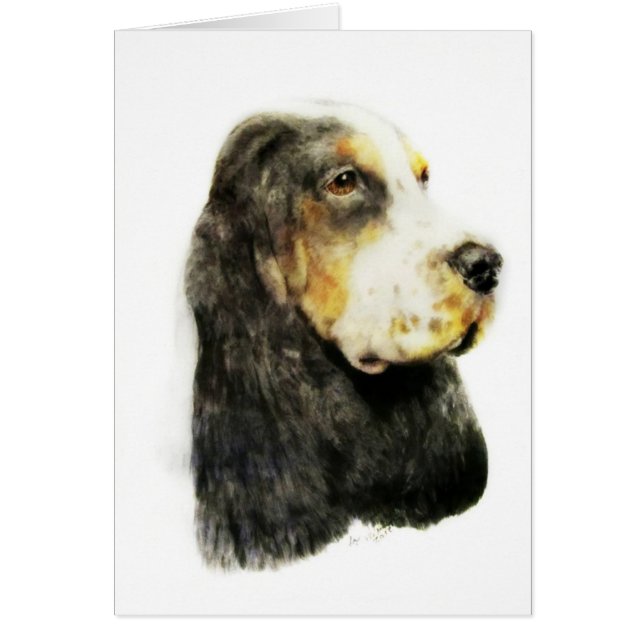 Inglés cocker spaniel (Frente)