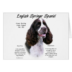 Inglés Springer Spaniel (hígado) Diseño de histori
