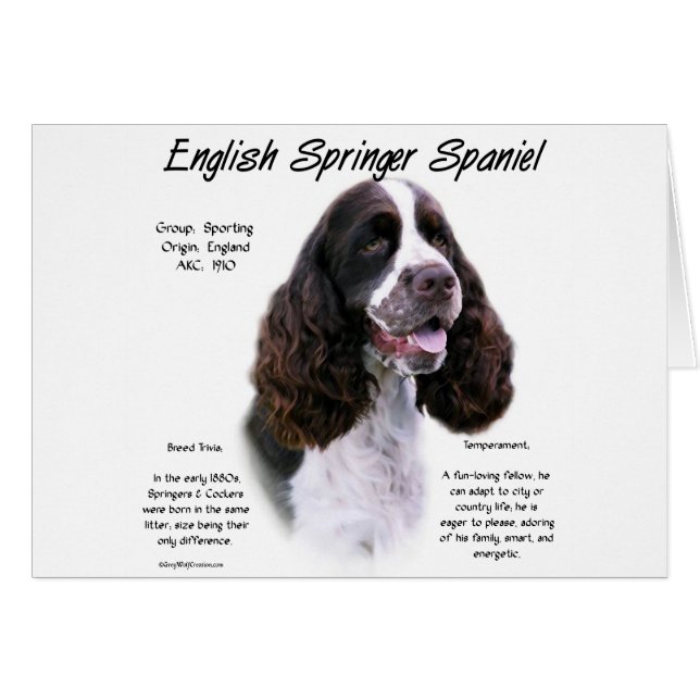 Inglés Springer Spaniel (hígado) Diseño de histori (Anverso (Horizontal))