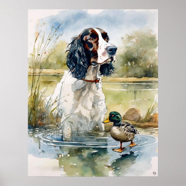 Inglés Springer Spaniel - Impresión de arte de per (Frente)