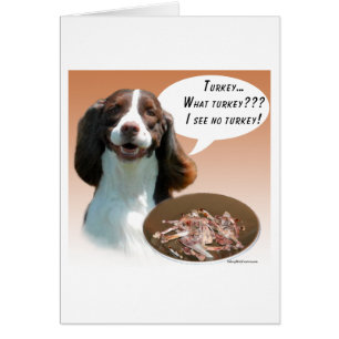 Inglés Springer Spaniel Turkey