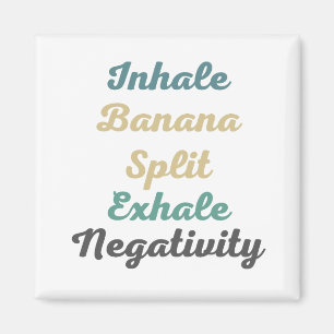 Inhale imanes de negatividad de la escoba dividida