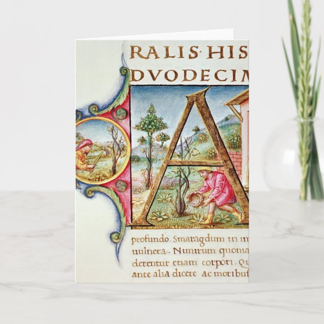 Inicial "A" de Historiated que representa (Anverso)