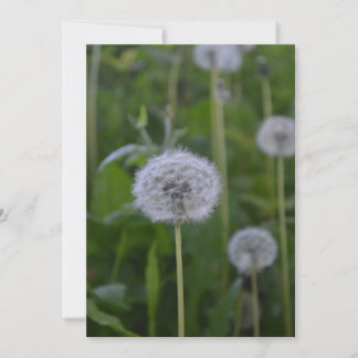 Inicio de la sesión de voluntariado