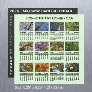 Inicio del domingo del calendario de árbol de foto
